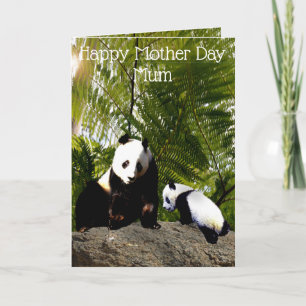 Mummy And Baby Panda, Mother Day Card
