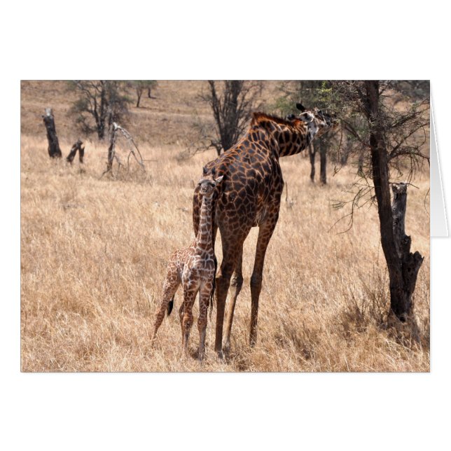 Mummy and Me (Front Horizontal)