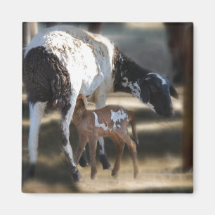 Mummy & Baby Goat Magnet