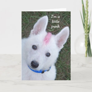 Mummy's little punk card