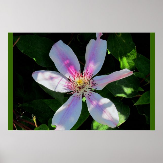 Mum's Flower Garden Poster (Front)