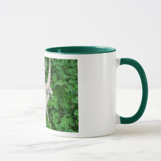 Munching Beardie Mug