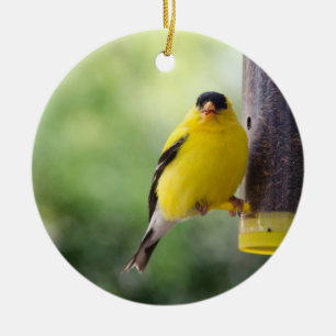 Munching Goldfinch Ceramic Tree Decoration