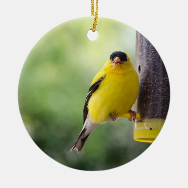 Munching Goldfinch Ceramic Tree Decoration (Front)