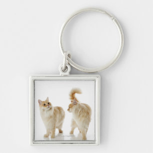 Munchkin cats key ring