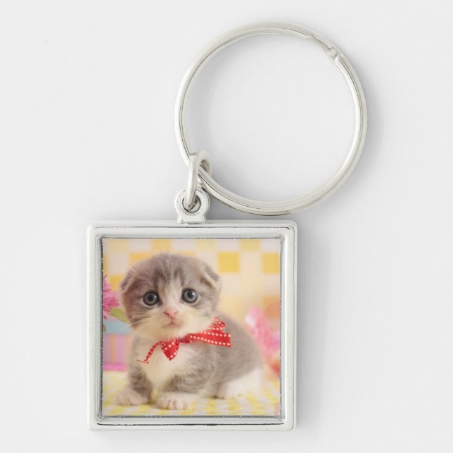 Munchkin Kitten Key Ring (Front)