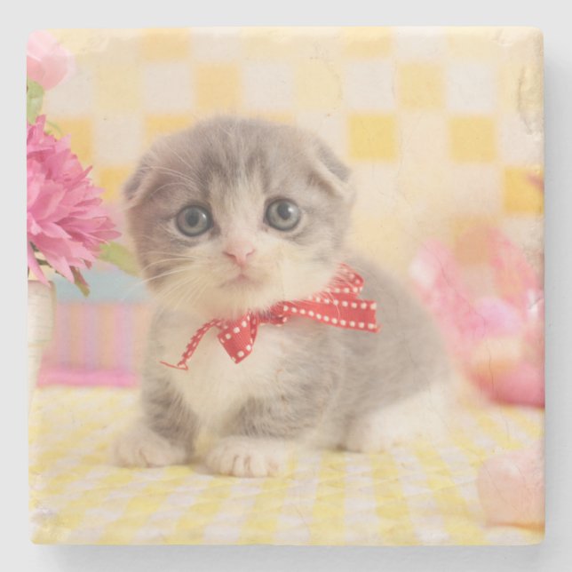 Munchkin Kitten Stone Coaster (Front)