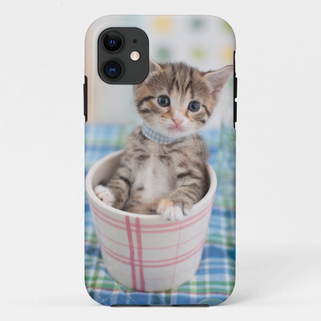 Munchkin Kitten With Pretty Ribbon Case-Mate iPhone Case (Back)