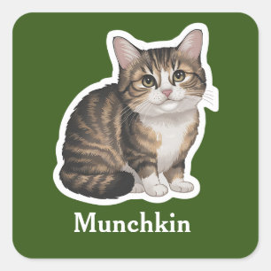Munchkin Square Sticker