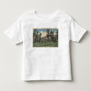 Municipal Golf Course in Griffith Park Toddler T-Shirt