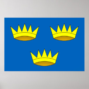 Munster, Ireland flag Poster