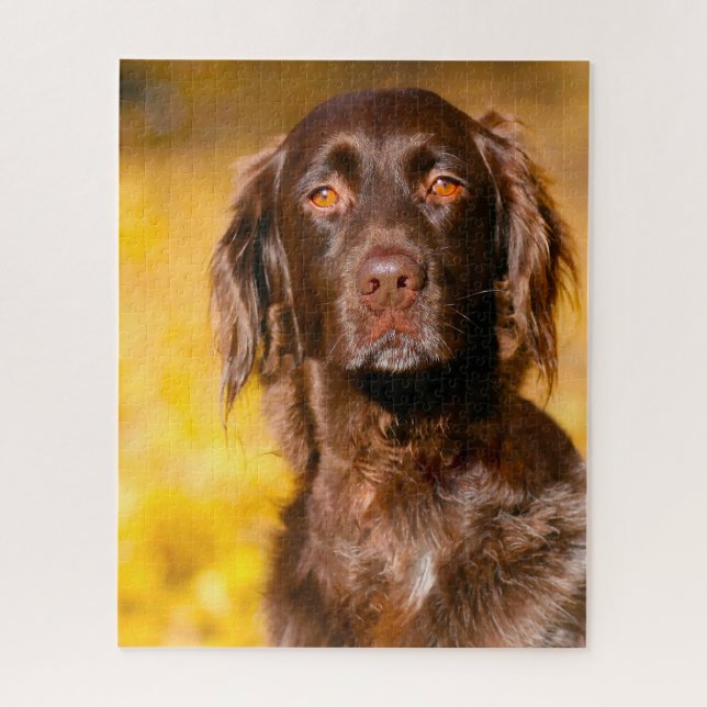 Munsterlander Dog. Jigsaw Puzzle (Vertical)