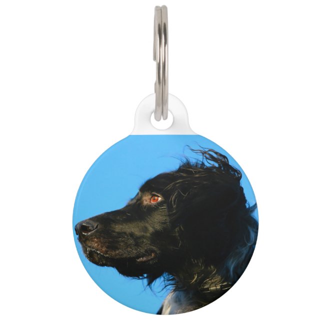 Munsterlander Dog. Pet Tag (Front)