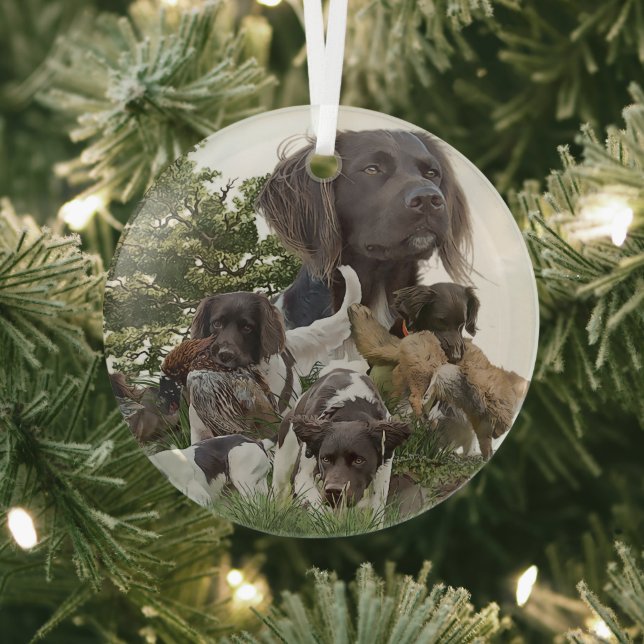  Munsterlander  Glass Tree Decoration (Insitu)