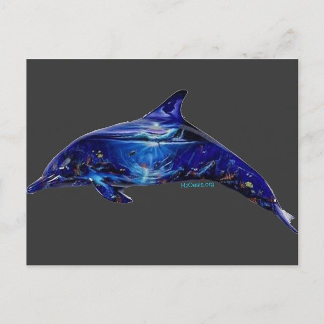 Mural In Dolphin Postcard (Front)