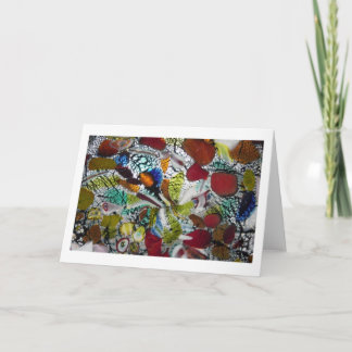 Murano Fusion Detail Study Card