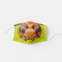 Murder Hornet