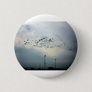 Murder of Crows 6 Cm Round Badge