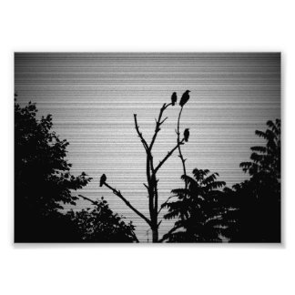 Murder of Crows in a Dead Tree (Spooky Version) Photo Print