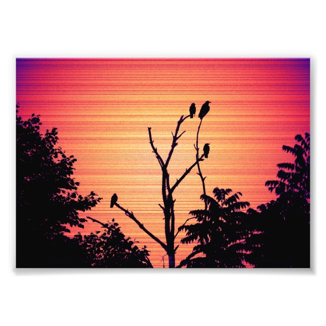 Murder of Crows in a Dead Tree (Sunset Version) Photo Print (Front)