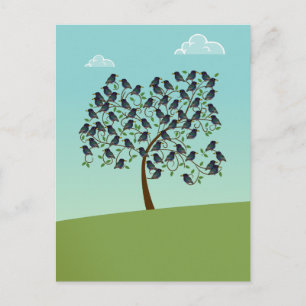 Murmuration of Starlings Postcard