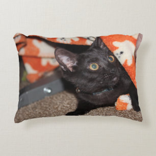 Murphy decorative cushion