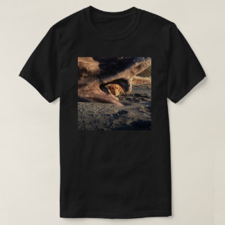 Murphylikestohide T-Shirt