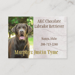 Murphys Business Card