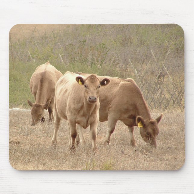 murray greys mouse pad (Front)