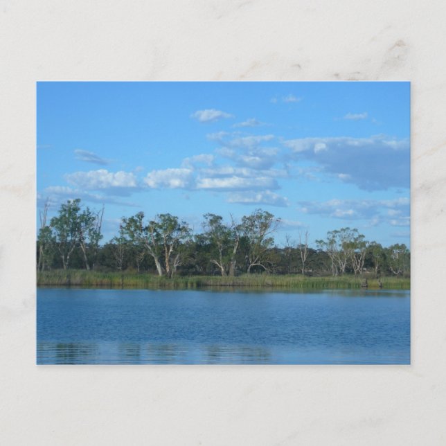 Murray River SA Postcard (Front)