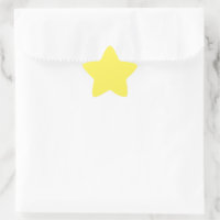 Murugi Stationery Co. Yellow large Star Stickers
