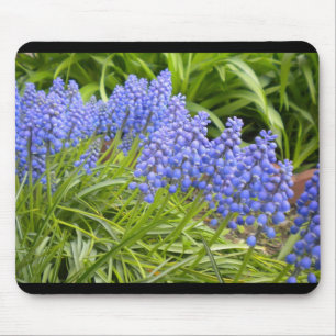 Muscari/grape Hyacinth Mouse Pad