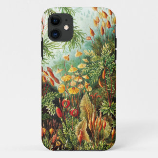 Muscinae illustration by Ernst Haeckel Case-Mate iPhone Case