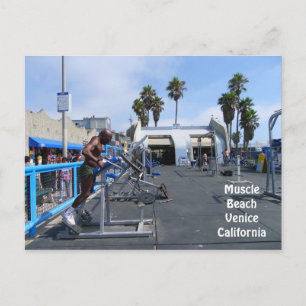 Muscle Beach Venice Postcard! Postcard