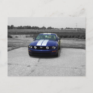 Muscle car Blue Postcard