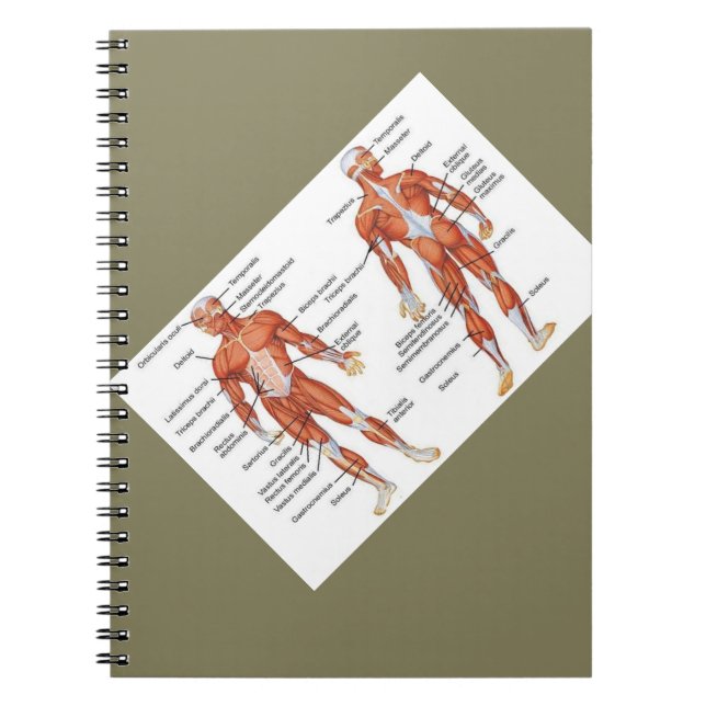 Muscle Diagram medgifts101 Notebook (Front)