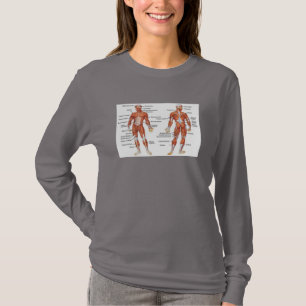 Muscle Diagram medgifts101 T-Shirt