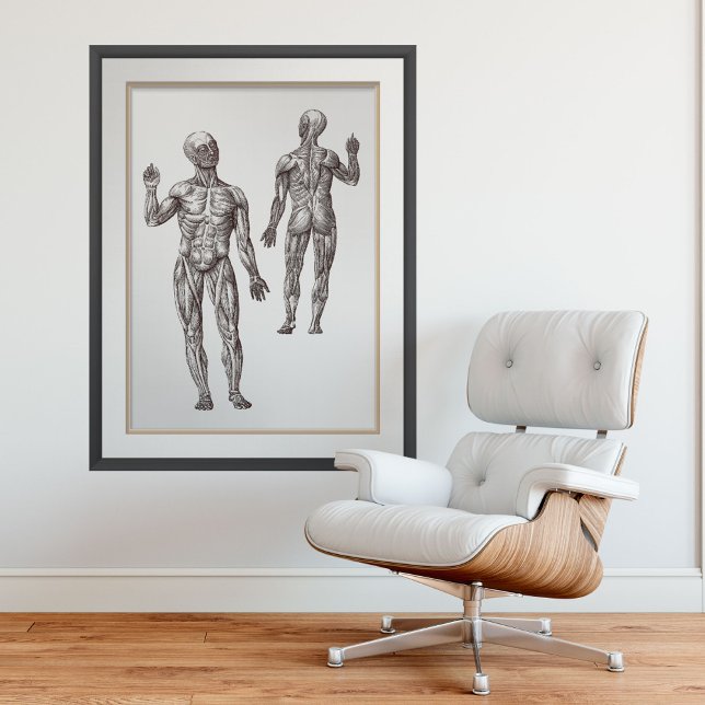 Muscle Men Sports Medicine Human Anatomy Poster (Creator Uploaded)