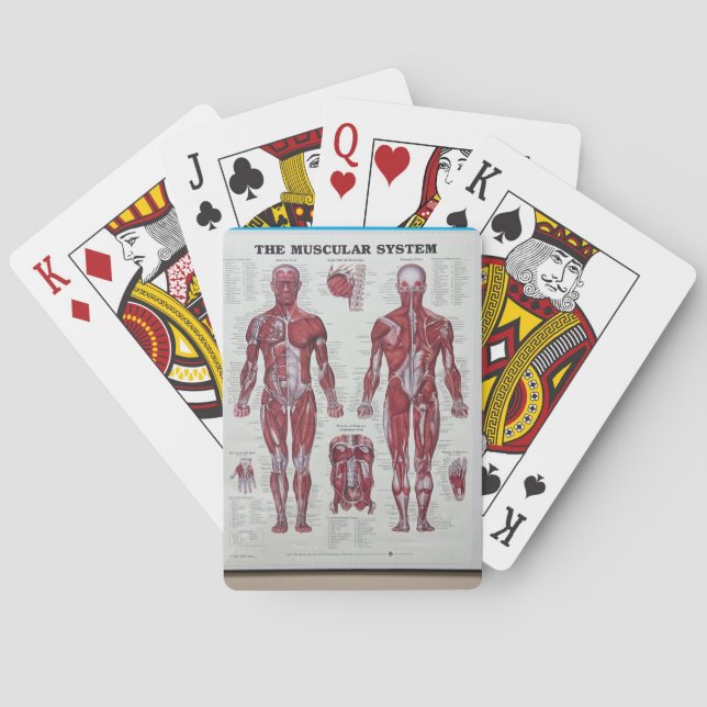 Muscle n body playing cards (Back)