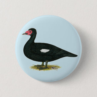 Muscovy Black Drake 6 Cm Round Badge