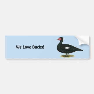 Muscovy Black Drake Bumper Sticker