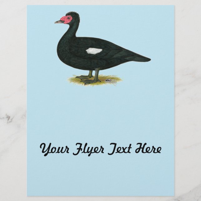 Muscovy Black Drake Flyer (Front)