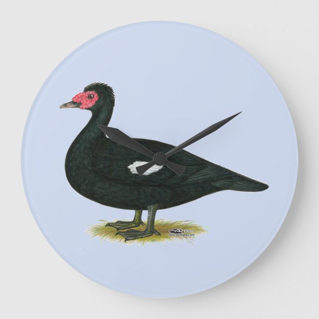 Muscovy Black Drake Large Clock (Front)