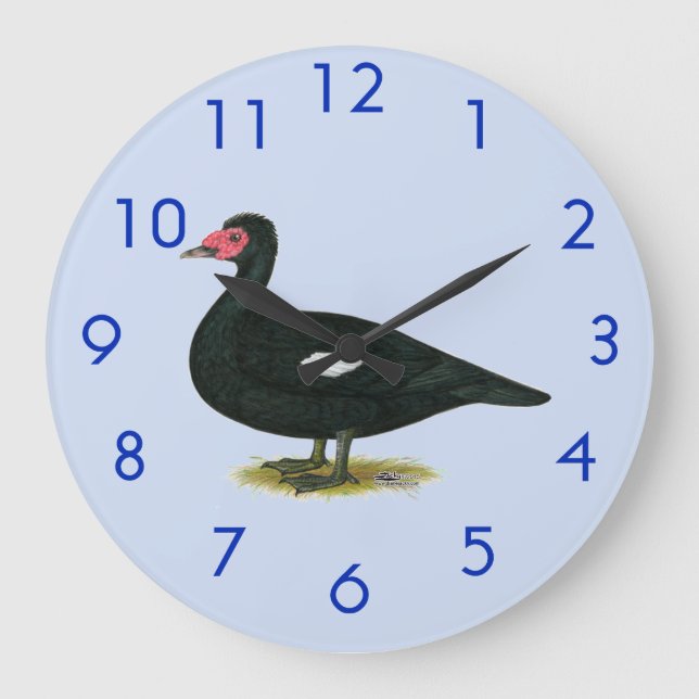 Muscovy Black Drake Large Clock (Front)