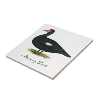 Muscovy Black Drake Tile