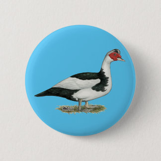 Muscovy Black Pied Drake 6 Cm Round Badge