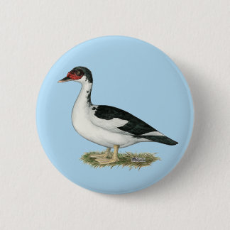 Muscovy Black Pied Duck 6 Cm Round Badge