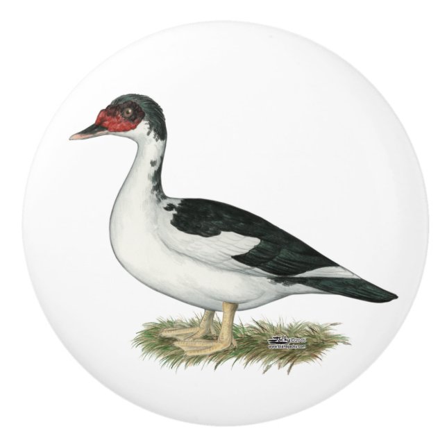 Muscovy Black Pied Duck Ceramic Knob (Front)