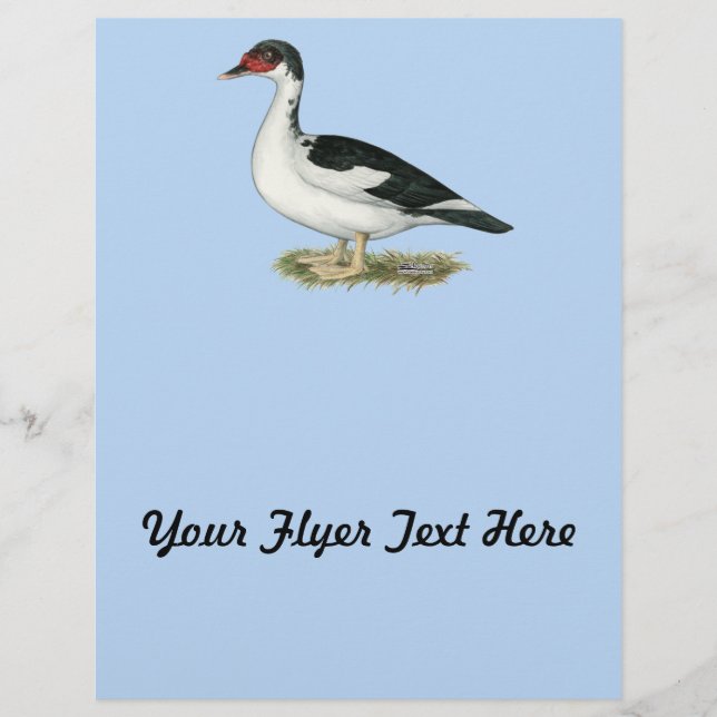 Muscovy Black Pied Duck Flyer (Front)