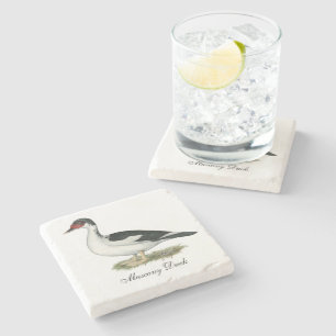 Muscovy Black Pied Duck Stone Coaster